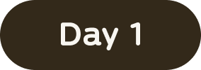 Day 1