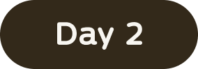 Day 2